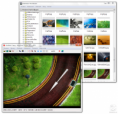 IrfanView 4.25